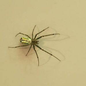 Meet your Posher, Scott